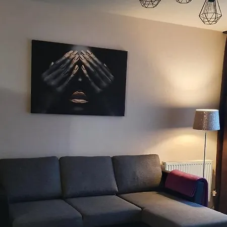 Апартаменты Bartnicza C Бельско-Бяла